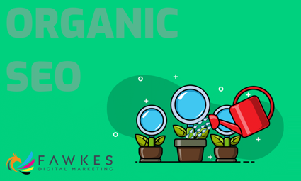 SEO Best Practices: The Ultimate Guide to Organic Growth