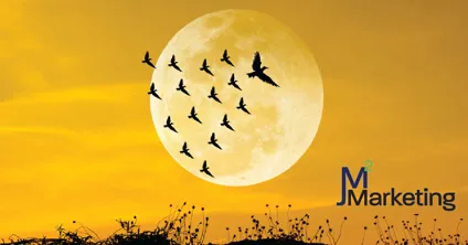 Setting the stage as the industry leader